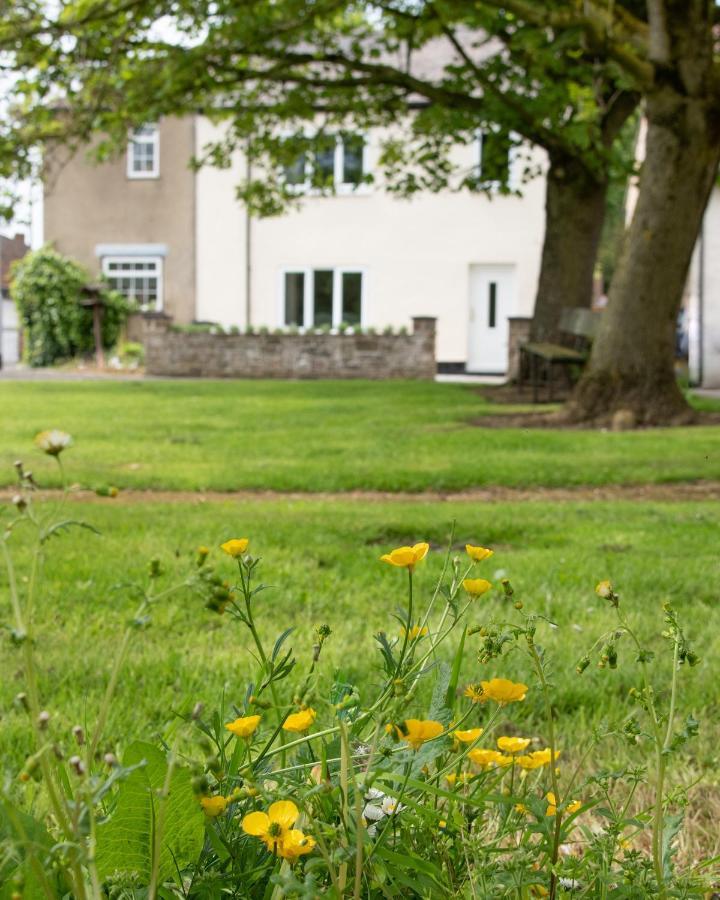 Work And Relax - Fast Wifi, Fireplace & Near Pub Newton Aycliffe Eksteriør billede