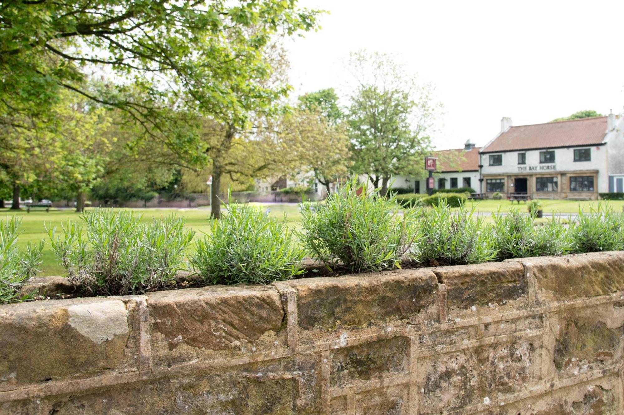 Work And Relax - Fast Wifi, Fireplace & Near Pub Newton Aycliffe Eksteriør billede